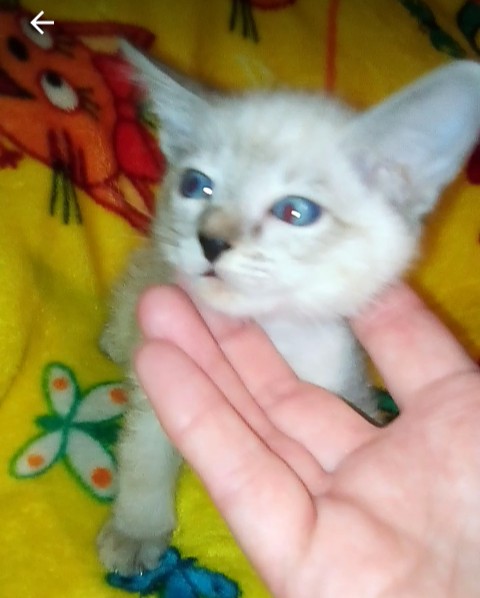 IMG_20220317_093851_917