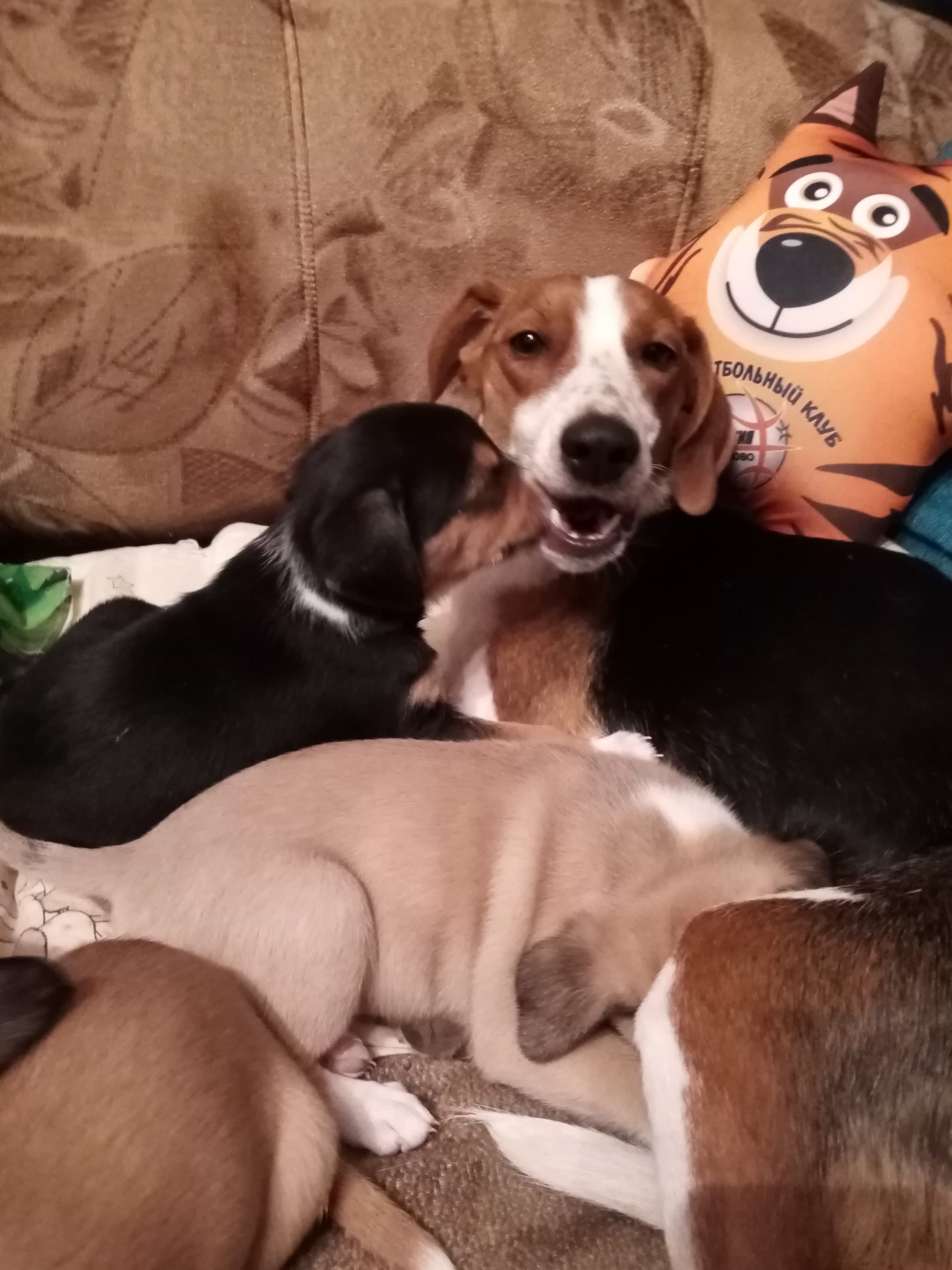 IMG_20220322_201805-1