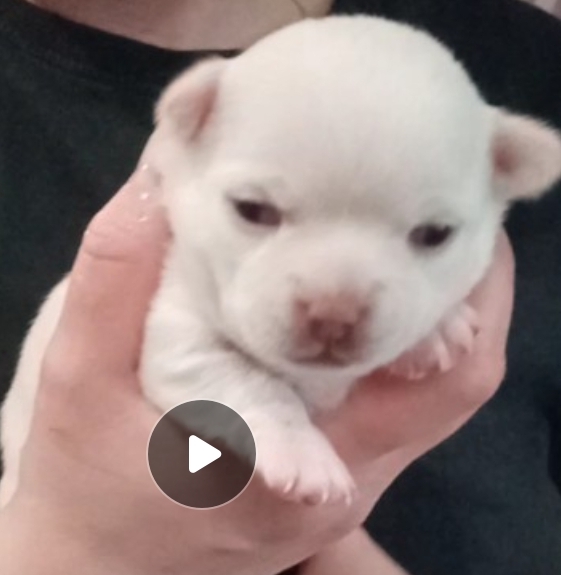 Screenshot_20220427_095305