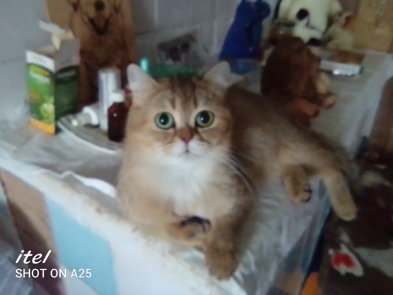 WhatsApp-Image-2022-02-05-at-13.46.59