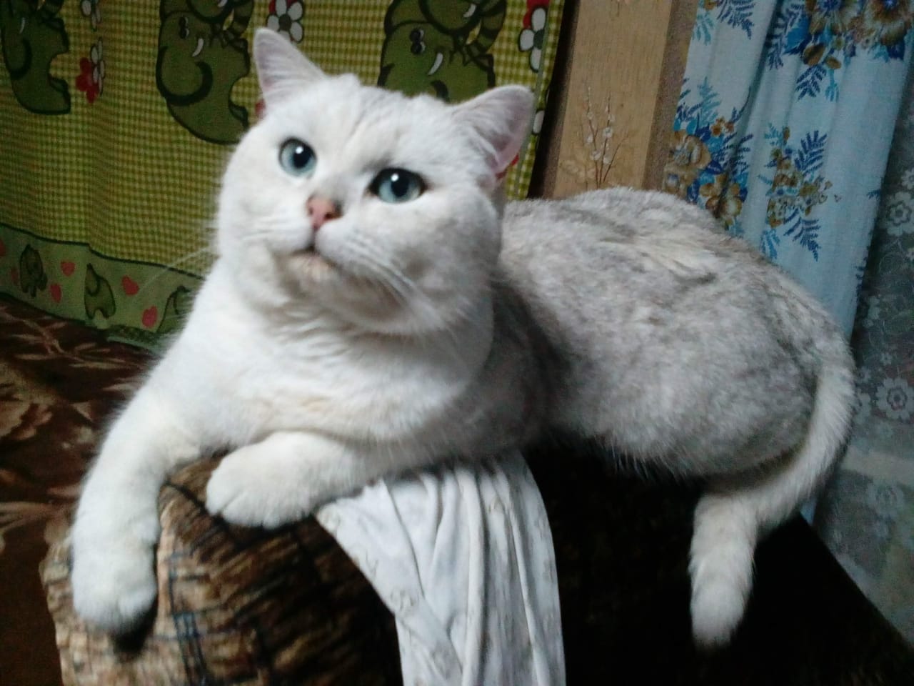 WhatsApp-Image-2022-02-05-at-19.14.40