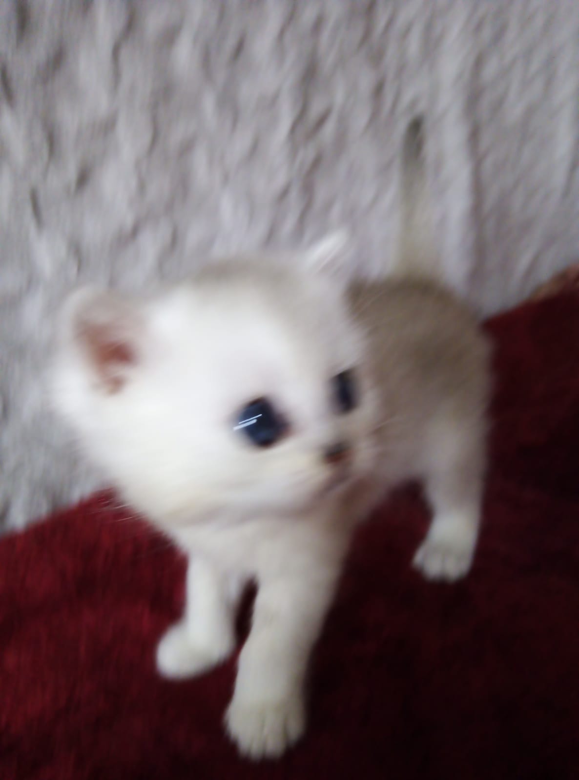 WhatsApp-Image-2022-03-30-at-15.57.32