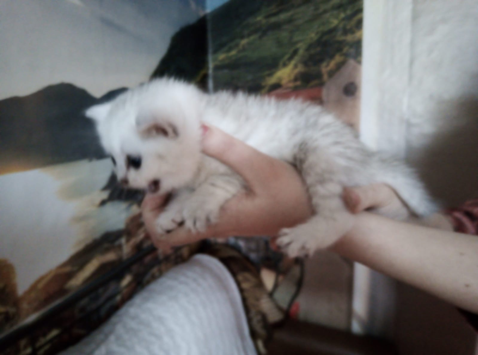 WhatsApp-Image-2022-03-30-at-15.59.37