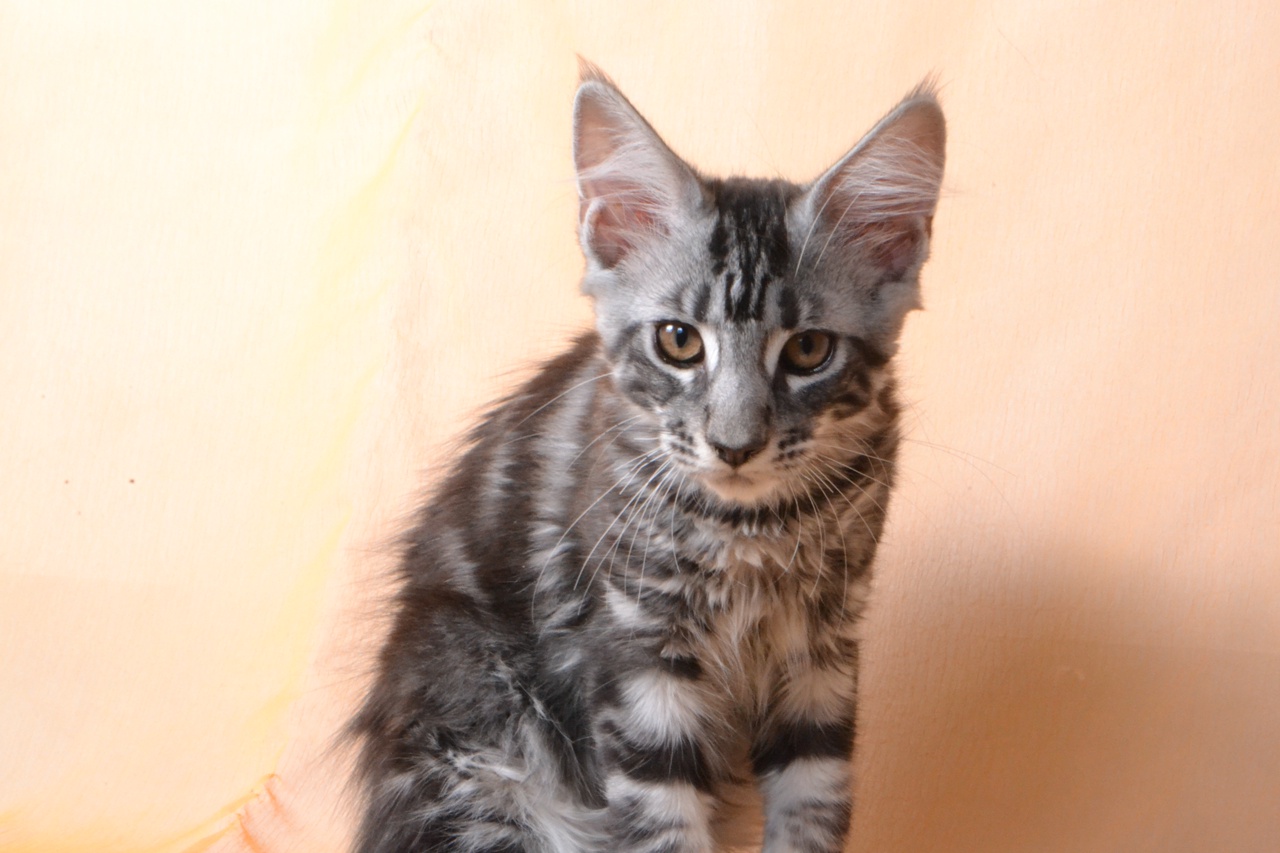 x_9Wt2HnJEu_3jHeka2ikQoJG16LxxkWRisU9X5LMbEl97aCJ6olFrGNdEdxmdDMXVLhtmLEYq9MN2BfyYXMhuGR