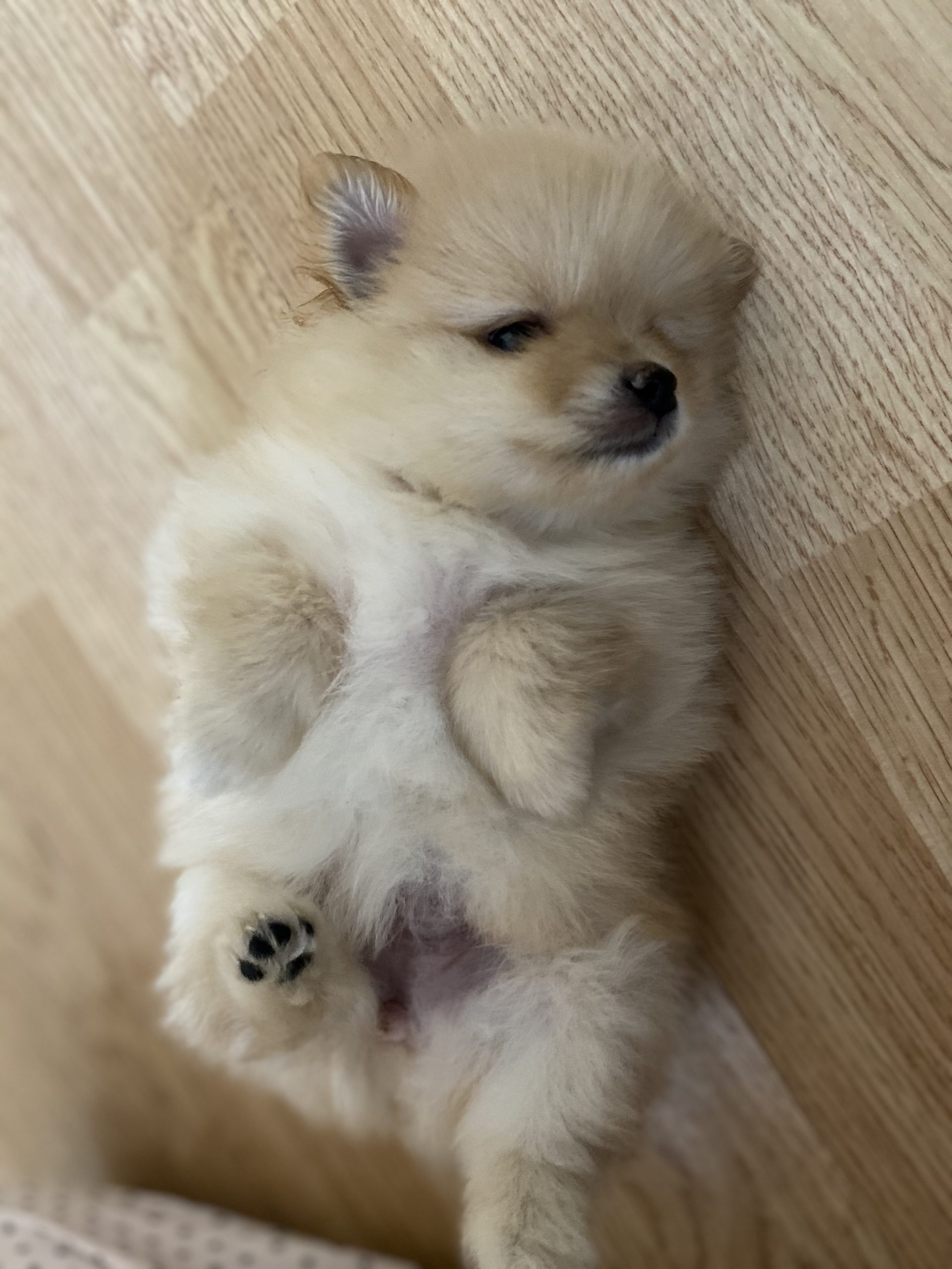 24D37C72-E22A-447A-B3DC-0DD1B15E32EC