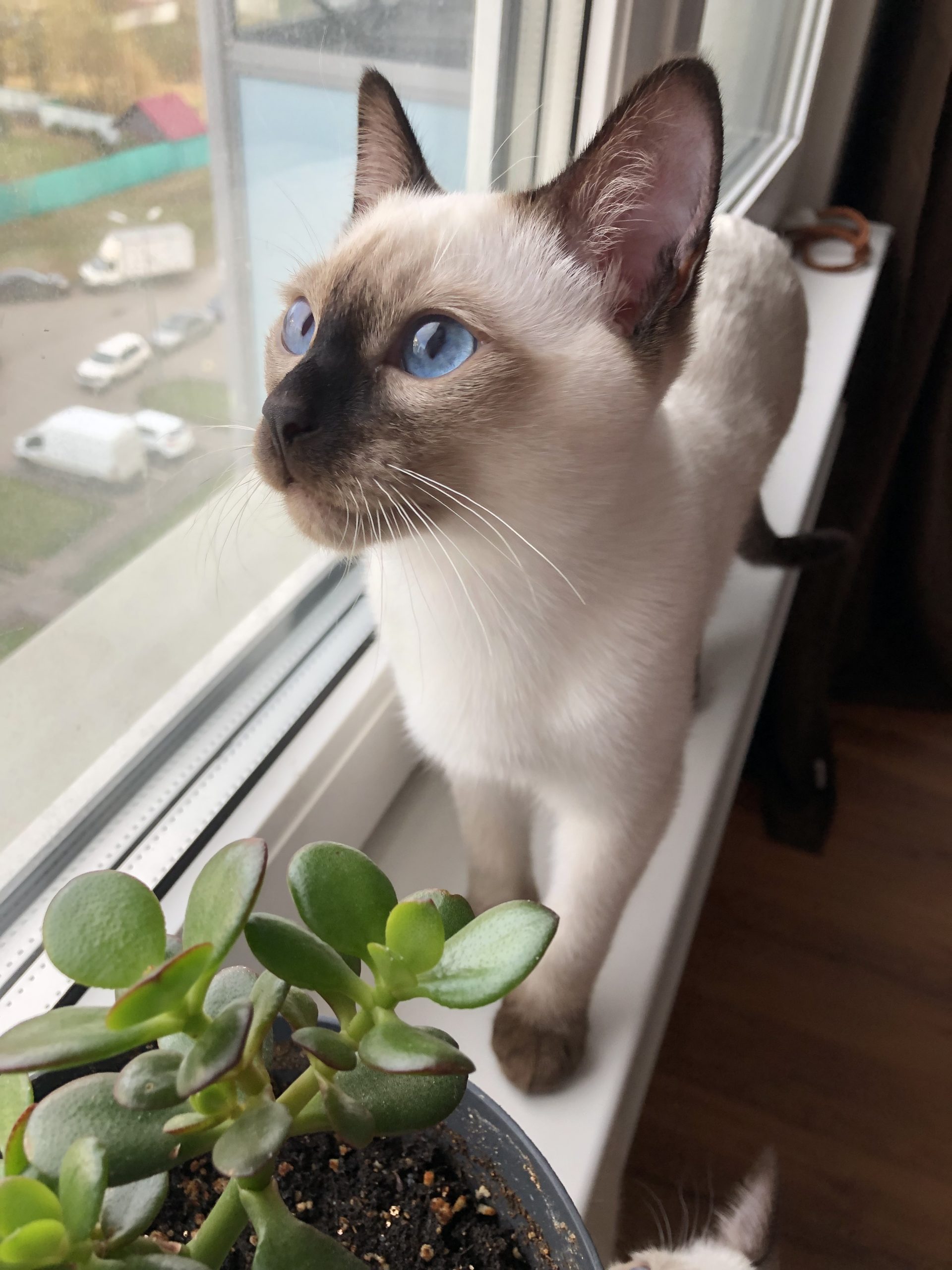 259A9310-A66B-41BB-9ECC-EBB71C86298B