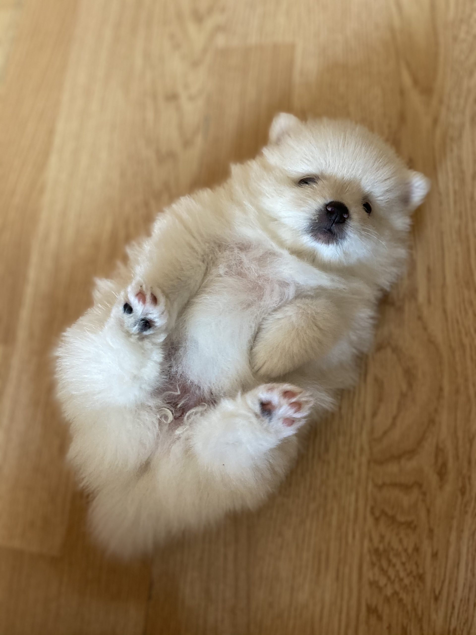 34398E10-8BD6-4377-BEE8-BBF77EAE96AE