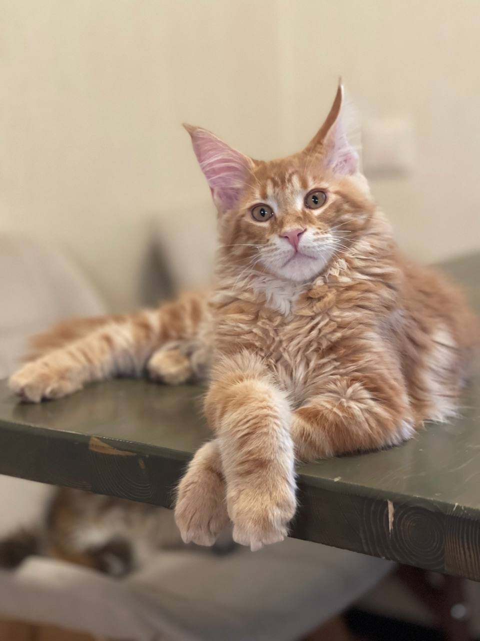 3D84651F-6298-40BE-9879-2C8FC97C0C39