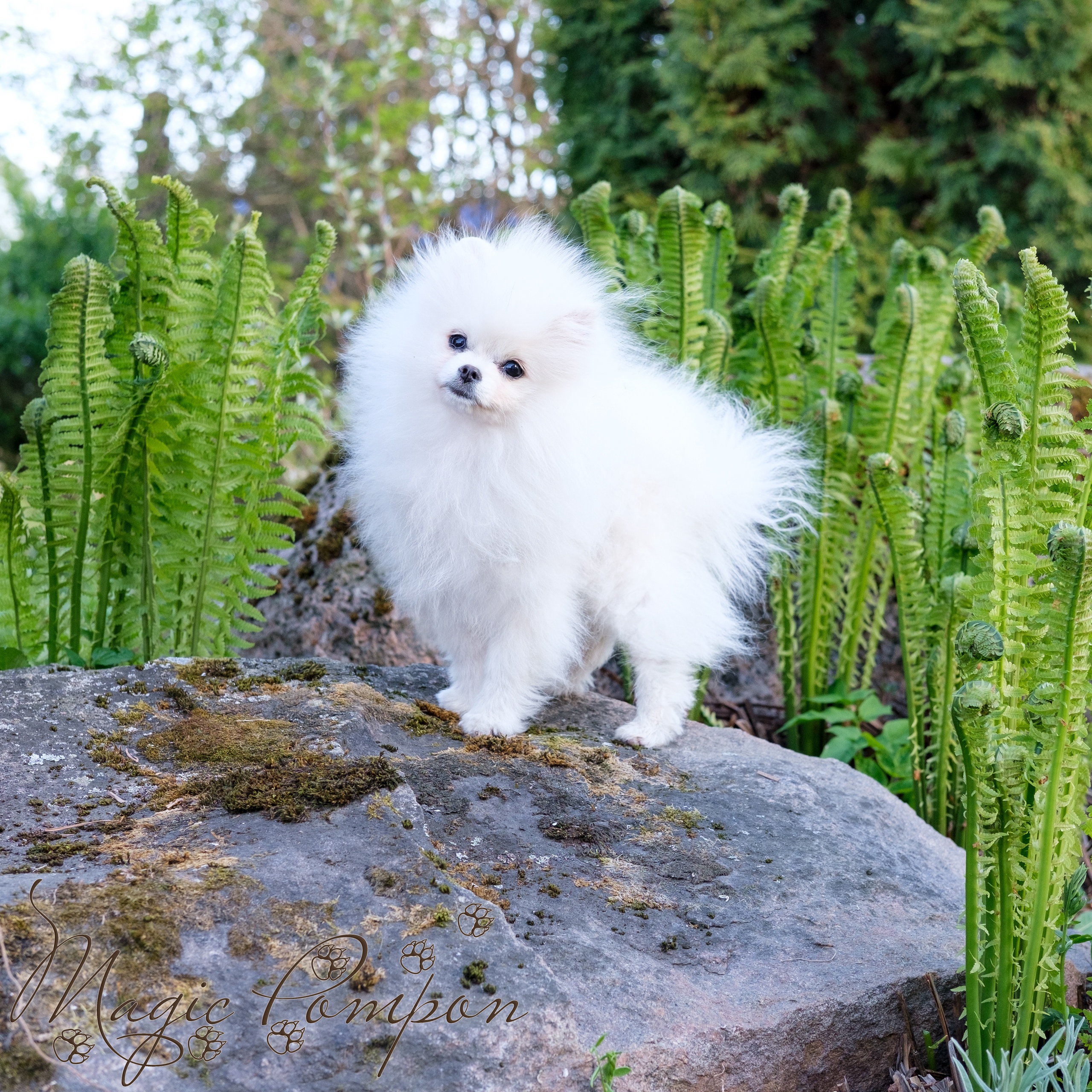 3gMS4ufSUKla9yN16Hge8Mn7_VaEbNszOTdO5BzoWZ0q3JC-Q6_DXKTwc4_wCow_oIT7KYOp5fbNGj5K1yIgj292