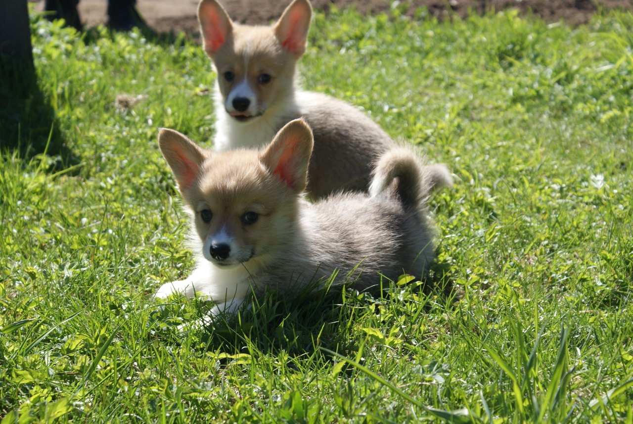 3jy2S8Ckyqm2oaJER2EeRrrfRUV2jgLZQqoHZy8fzbP6bEFMaeJo6zbTvpXENcKWCa4ApJk59ih_FqvaDzHuhDrc