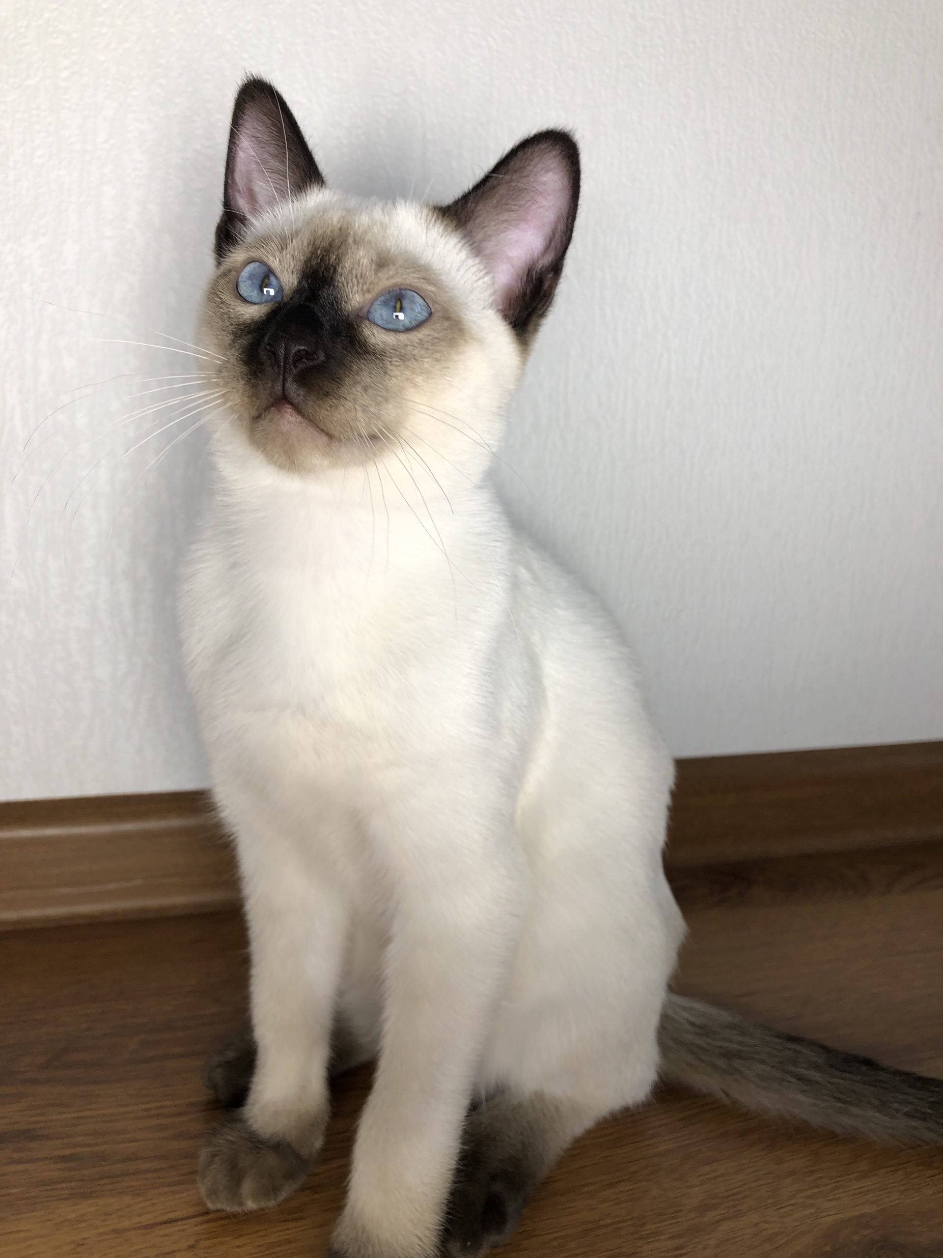 53371746-C137-4667-90D2-97C9CC52B289