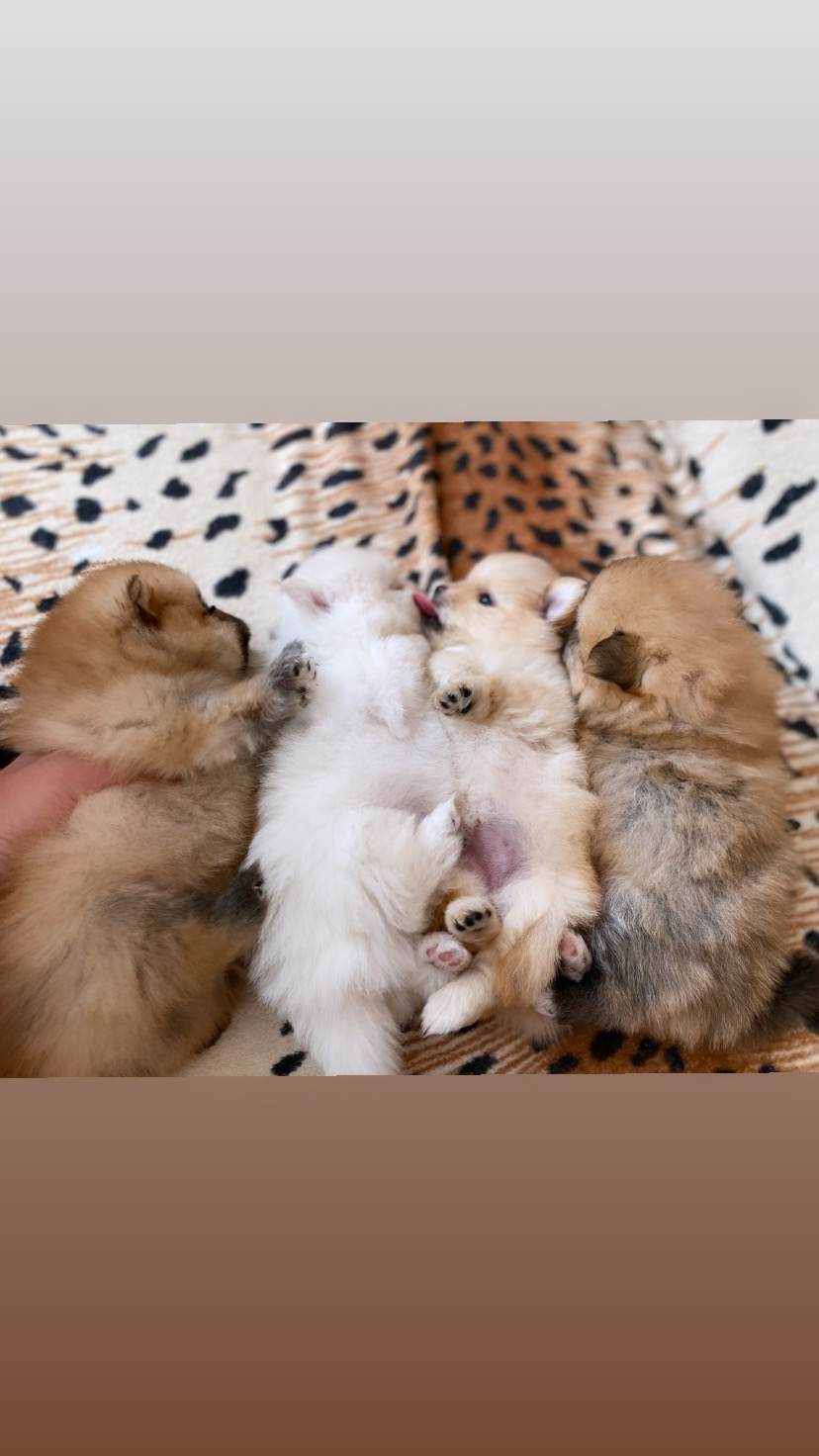 5BC1F24A-13B4-4803-8FFE-D1989174400C