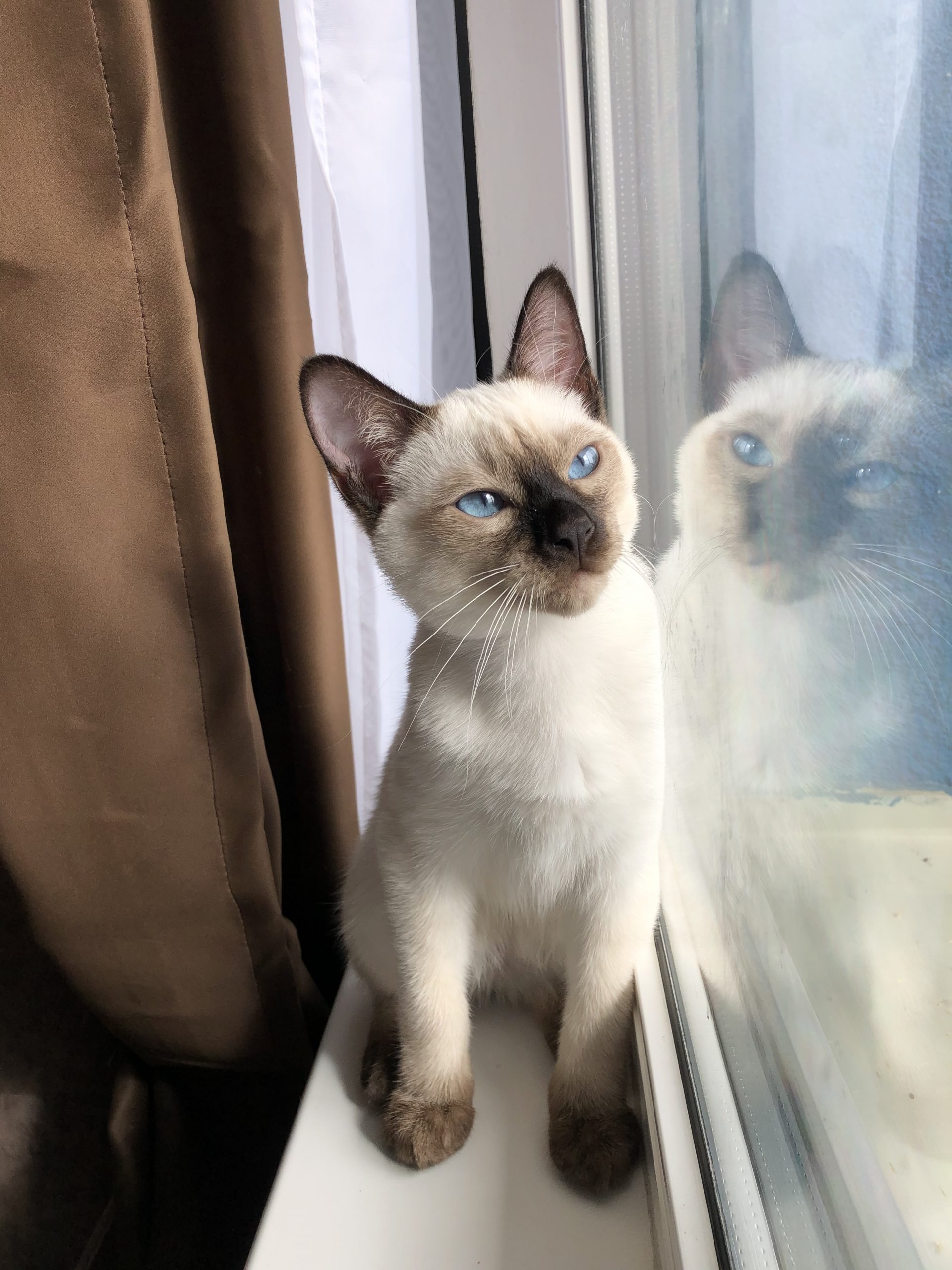 753CE5B4-2D4C-49FE-9E2F-0D62219FFE51