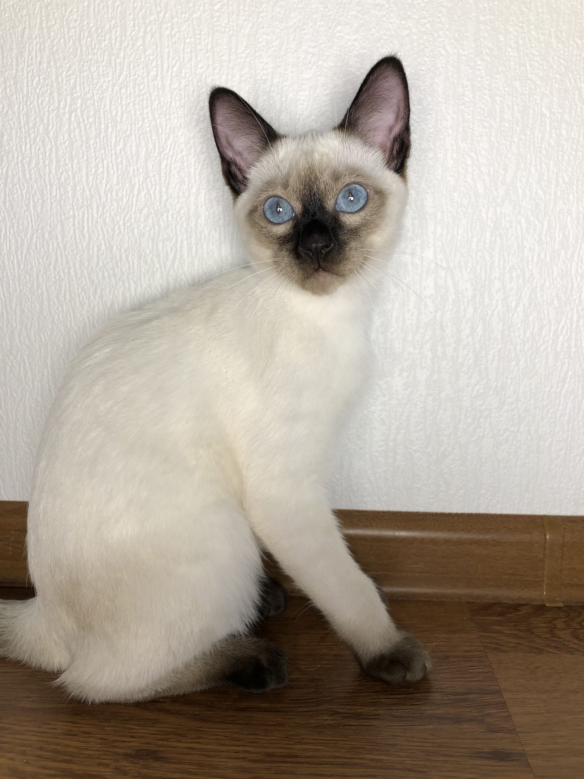 BC5C317A-825A-4A90-B00C-E58BE84CE418