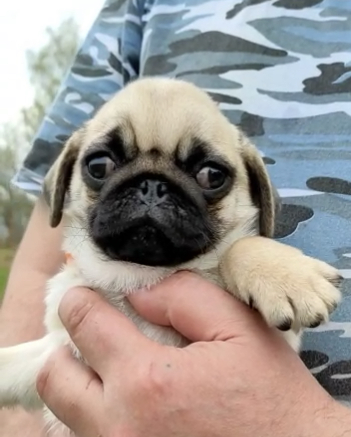 BD3119AD-202A-41E5-9AA7-DC72FD1562AA