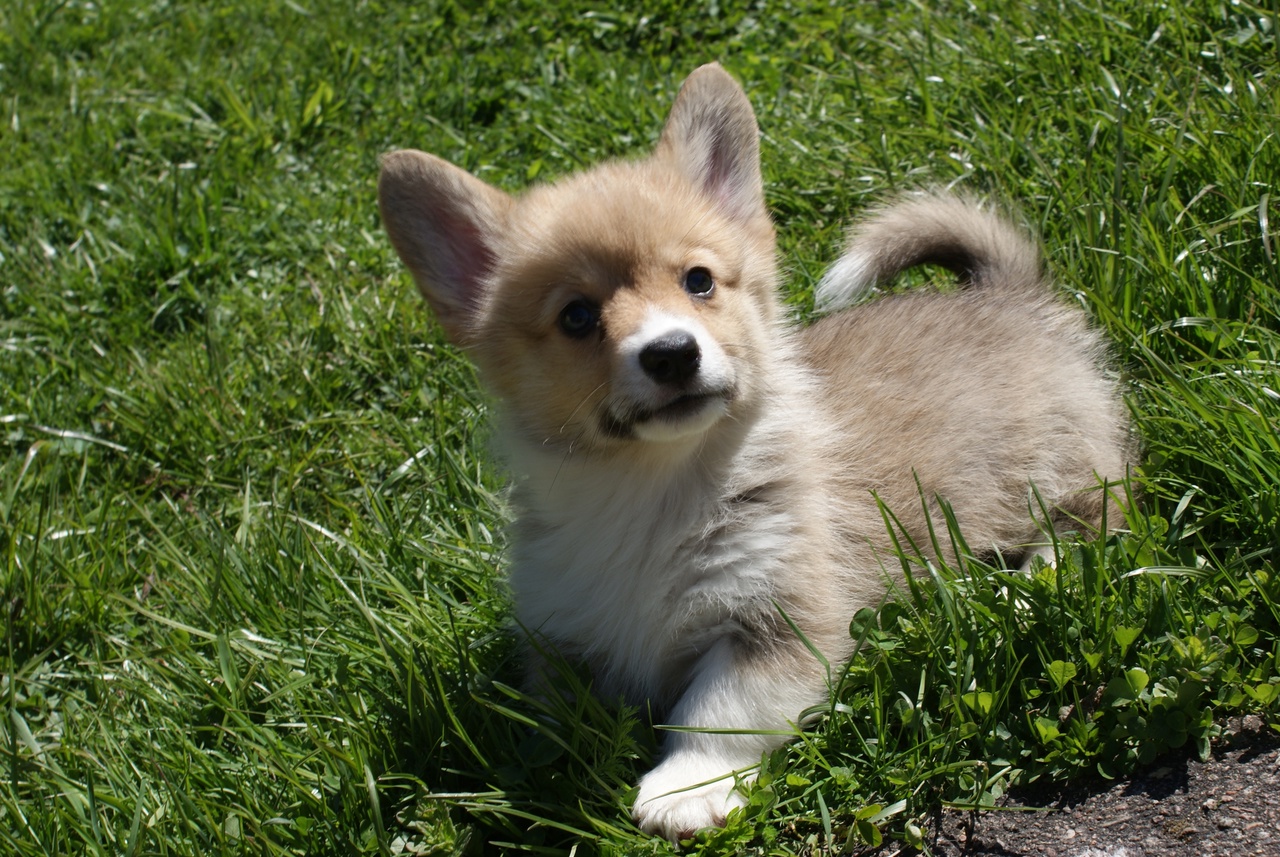 B_azxFNthvmLABpRACuzWsl0W4GYlHleUneih9R27AvQ8qVvXP1A9E3wX7xBWo2LHf3abFrJedxycVNR2B2C4vAC