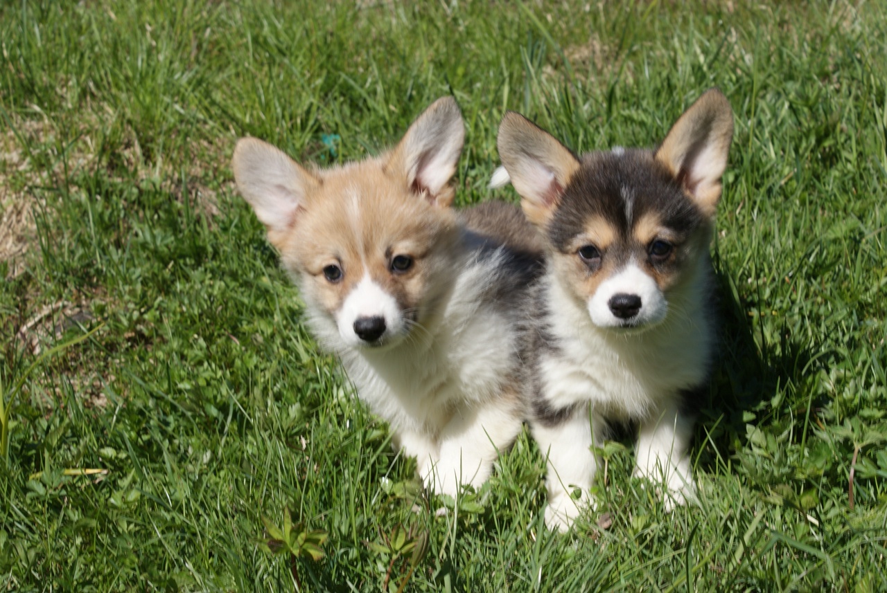 C8hour99ZCE4OSFaLY6pD7C3oIBs-VyDNEAu8o6dwoyuOVfphsk_VAkUd2DXn8zjhvJtZ0xQRypE6r1z1t3Z3kLY