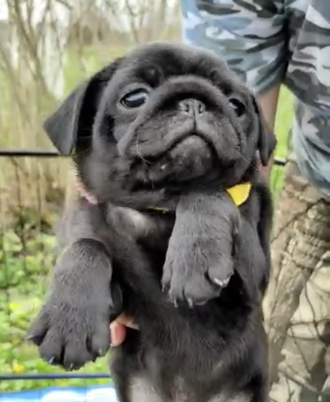 CFDA4347-B022-4AE3-A3C0-18B1829598C0