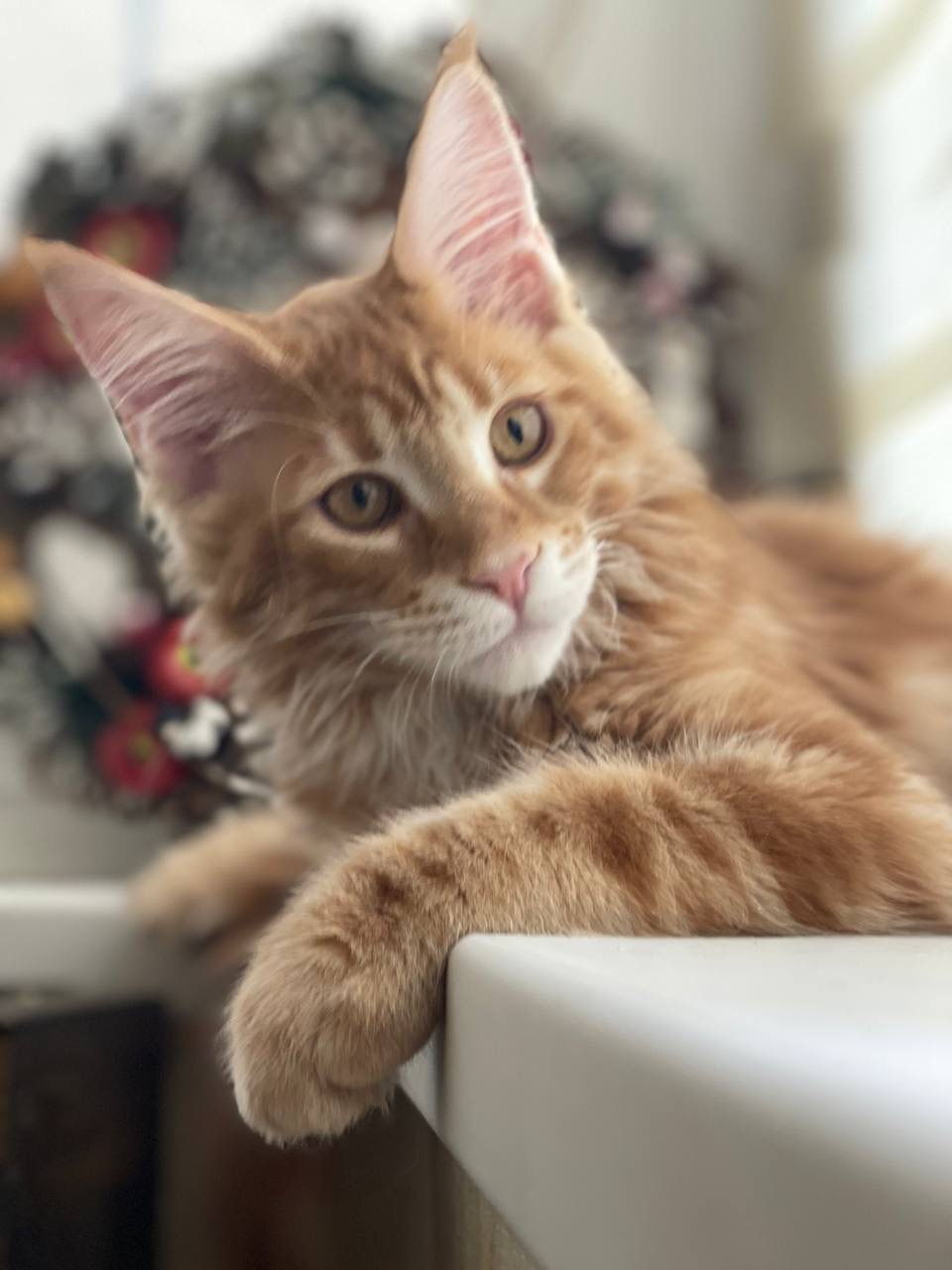 F98F681B-15BA-4BC7-B062-14A09F3F5505