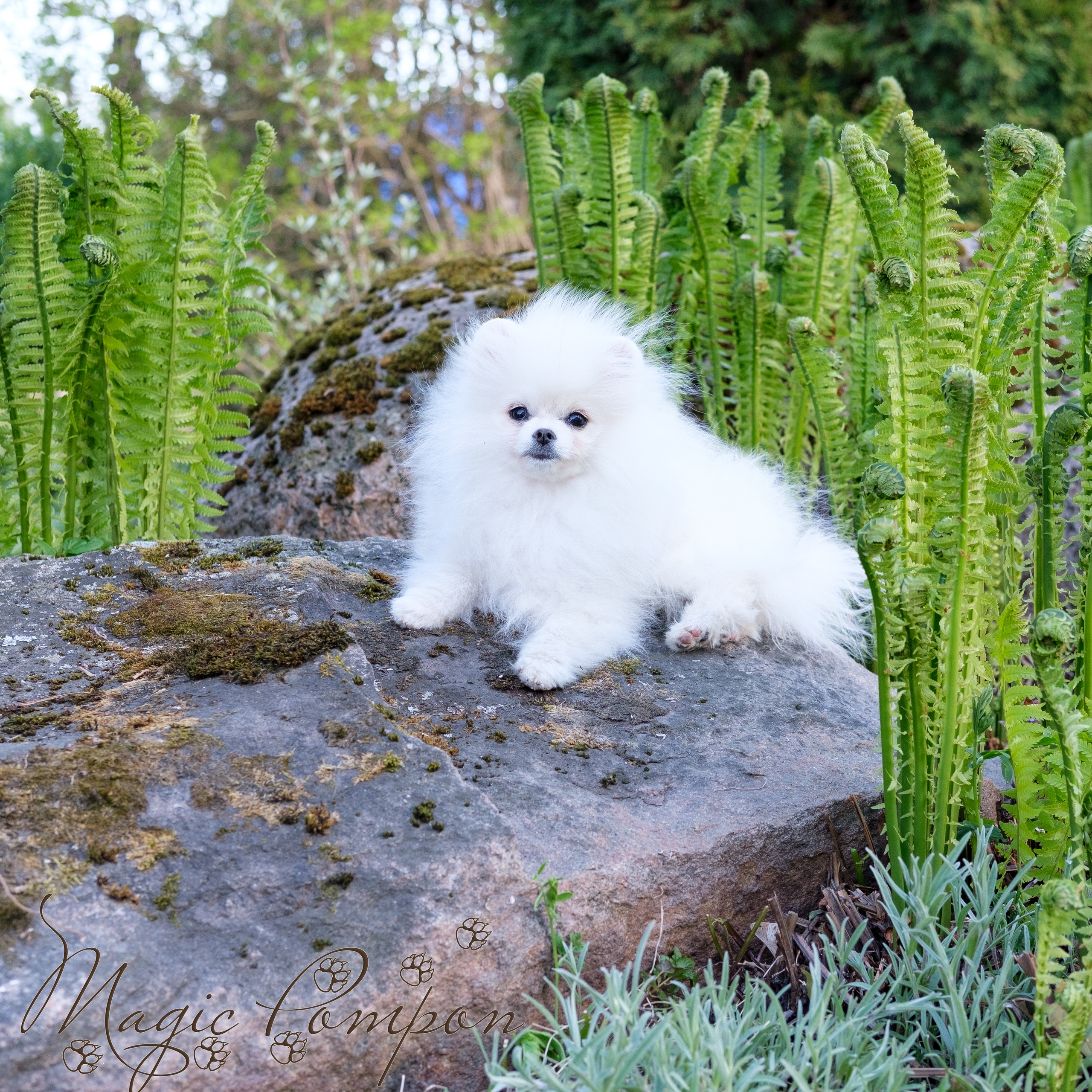 FK_AOoA0AzvkspziDzQxTgQY1vPhvCFiSmQ6XELNNvpF_vLw_5wnrBERj9SmPIy8VppHslpZlq3zIAJhdatrrgZP