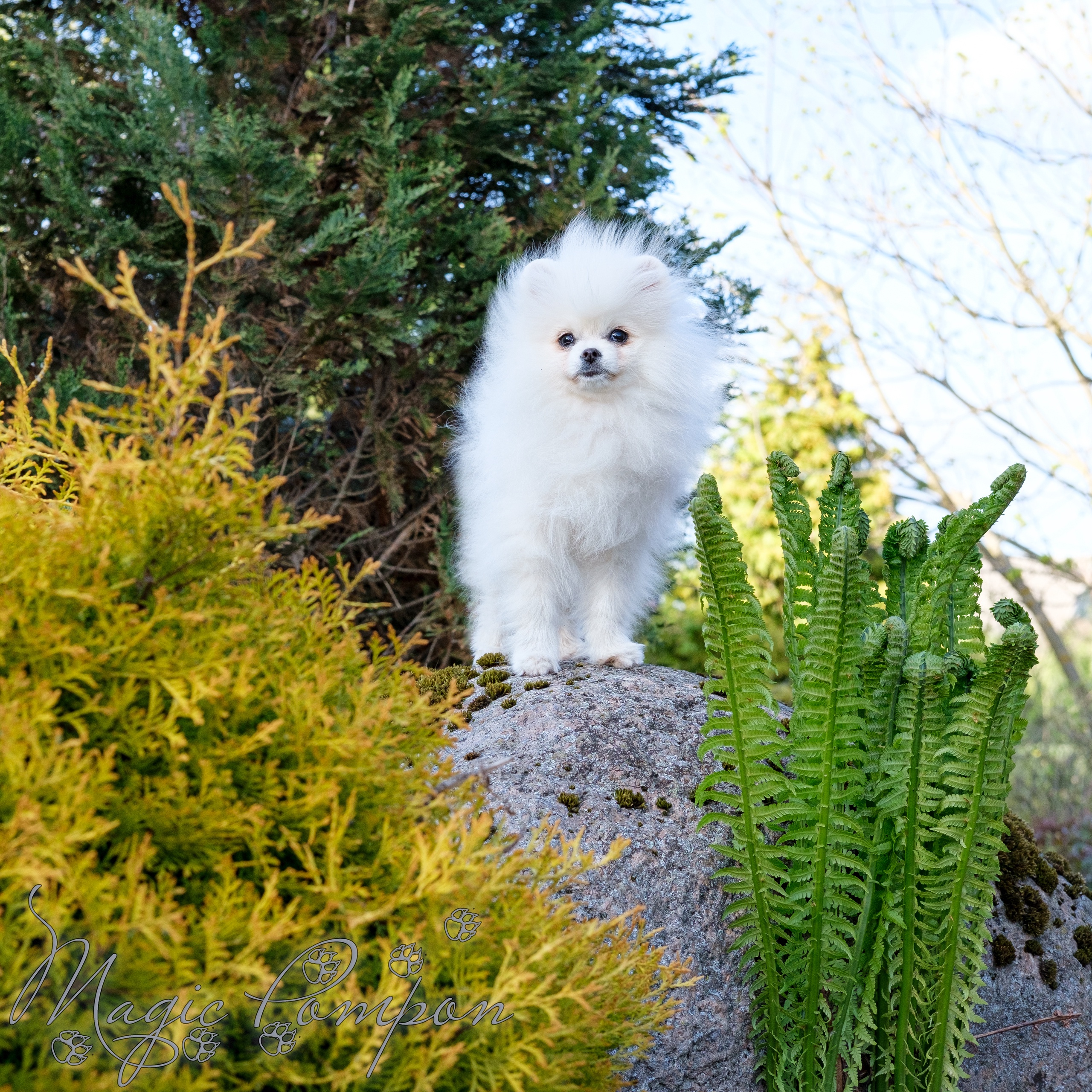 GFlIub23IYSzjB7HTro3qXaGo6Rqaj7ybYdMKT-E6BTXI7W7uPCKuZ45NKHQanAzNElolTk7cwE-DHuQ-UrZSjK1