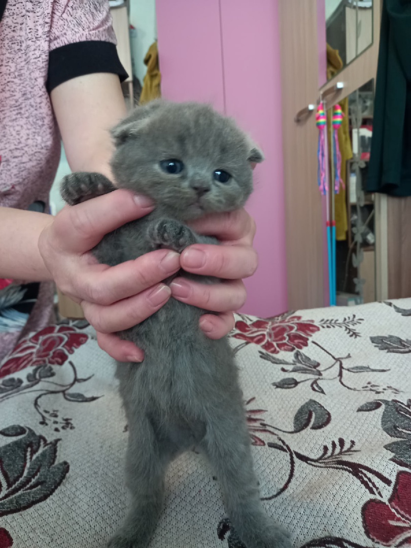 QhpLT4gS7CBcvKIkofwSd92HWrvBFf8EI2MPrHhnqo8WVaV9GngEdW42CMWFtVZlZbHeMVcWQiCwouTwso40mlRE