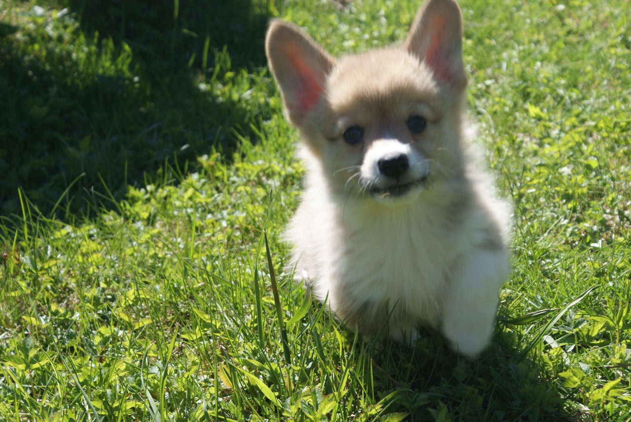 R3CIsDQm63eXv-ph8ALRoKvhP1P879Efm_clpxsX06aLwYUbhjjlPRthu1ljFv_w8ZwpfCuYvKq1aDBU7wavRPX-