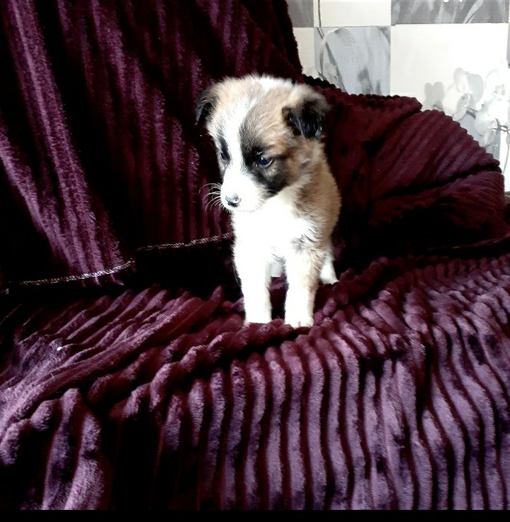 Screenshot_20220505-092511_Photos