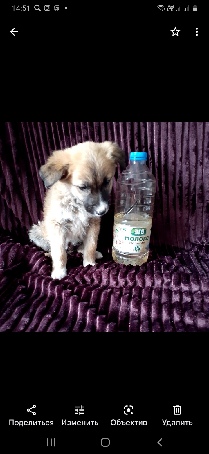 Screenshot_20220506-145146_Photos