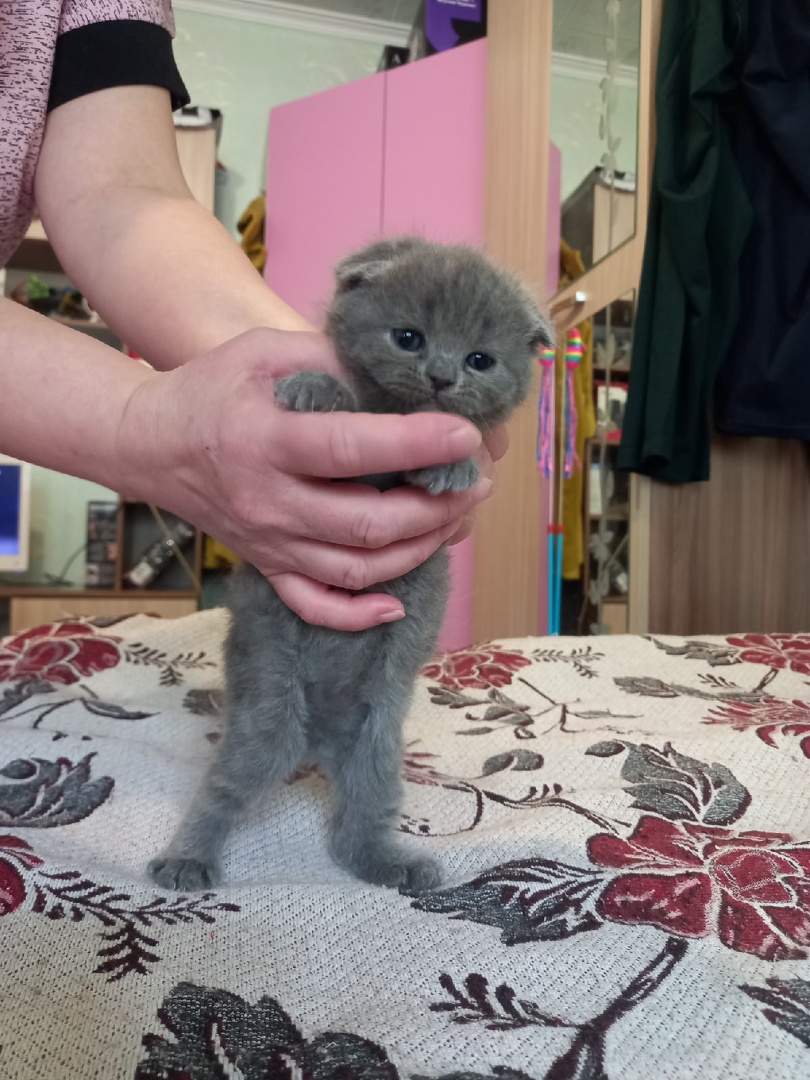 bS61RxH6TatwvFAfBbcuOoWsOYWxi-3q4c6wlvunsHrN8HhO9M12gHARlzVCipYUlVgIG4UVEdqZUvB8LbM27RRN