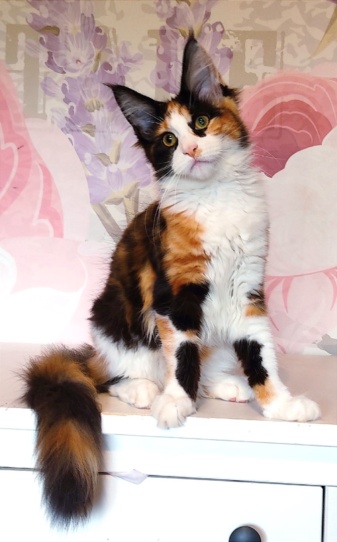 dcrS7xqQKdUb_oboL1KJifBAgtlZREyeUUMXVgHvyEwjegm8TZloqcQELhwAVJjW1h6jLjOp-f2cMVgk1Rn6_fG8