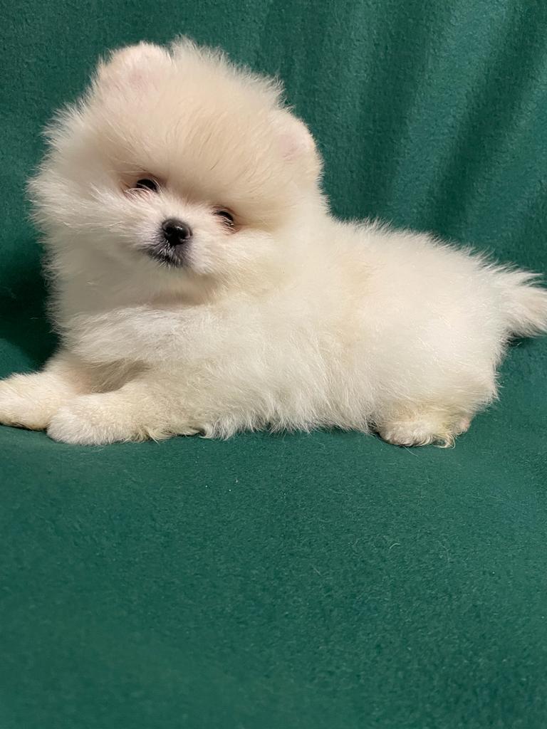 ea51e932-9e51-44c1-bbae-0e372b92aa55