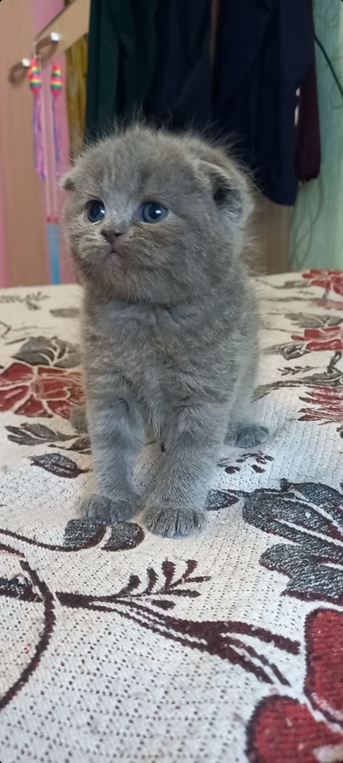 fk6Oi0zLnHj-1Q9dTxJSGFHSPGueA2HVVJaHqGQLmd3I99SGOvh0NGsB9meWddUPNsSbcKqXQjsqnUWmg6Gj0_kx-1