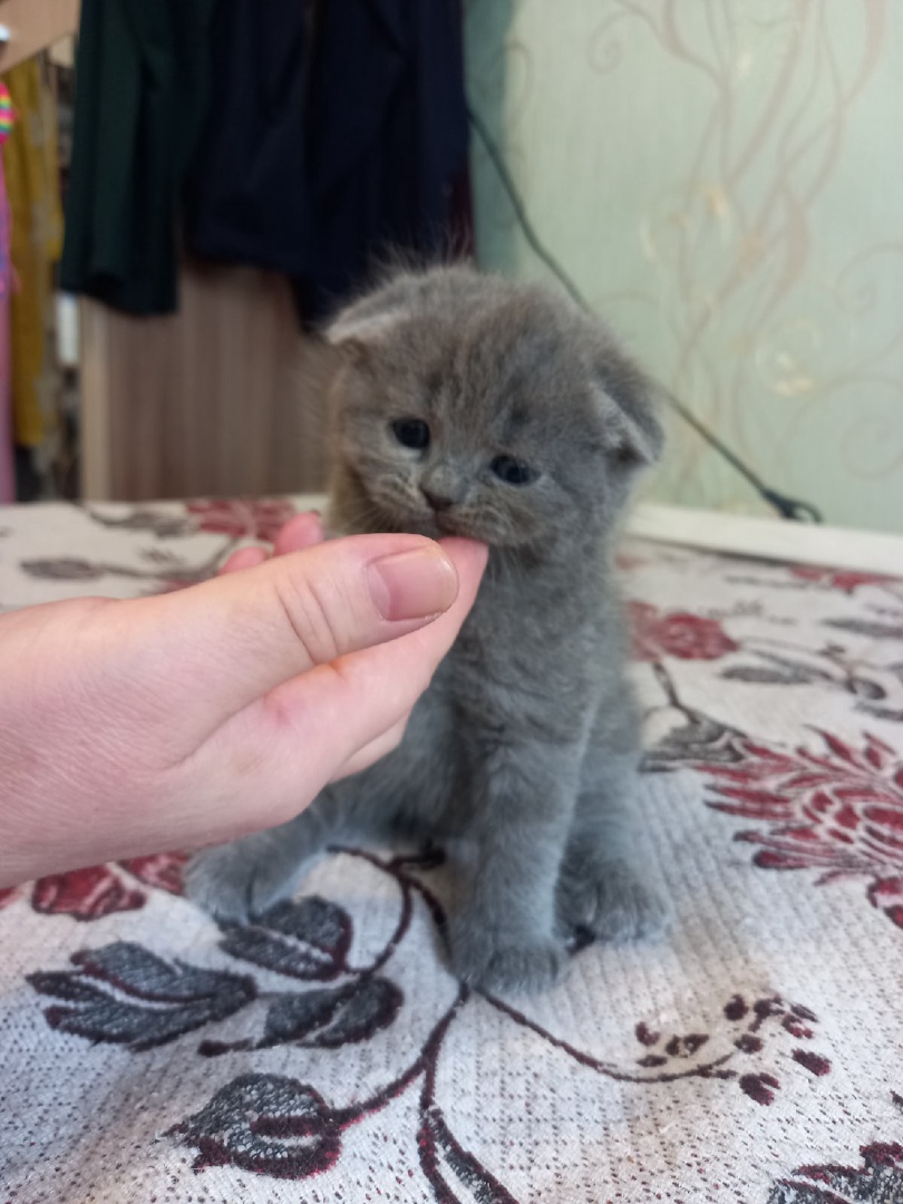 gDE7EFpeh_lchLpZX3ti7zYYWsmallc_uhvATEGwSRf8yYchPCF6i0k64rjduobTA6R1sUGsgG0BnhDZn9ALKNMj