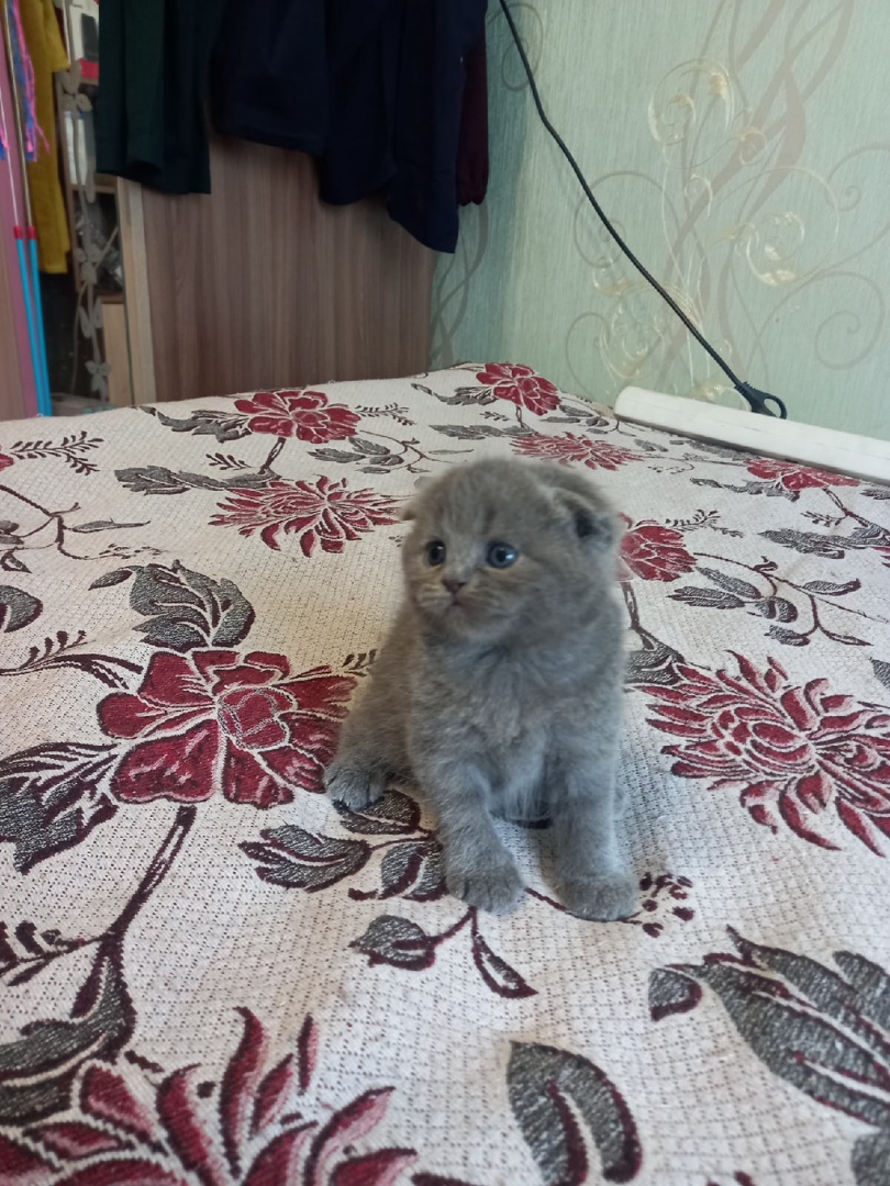 mQtb9xpbkTsZqsv-WWJRMrrcRKP05yJFSp-G-DqUwvQX3PhtTUkOhi_Ewp6w5CrV3QnnREb6y3Ct9k5Bg9qW9wjr