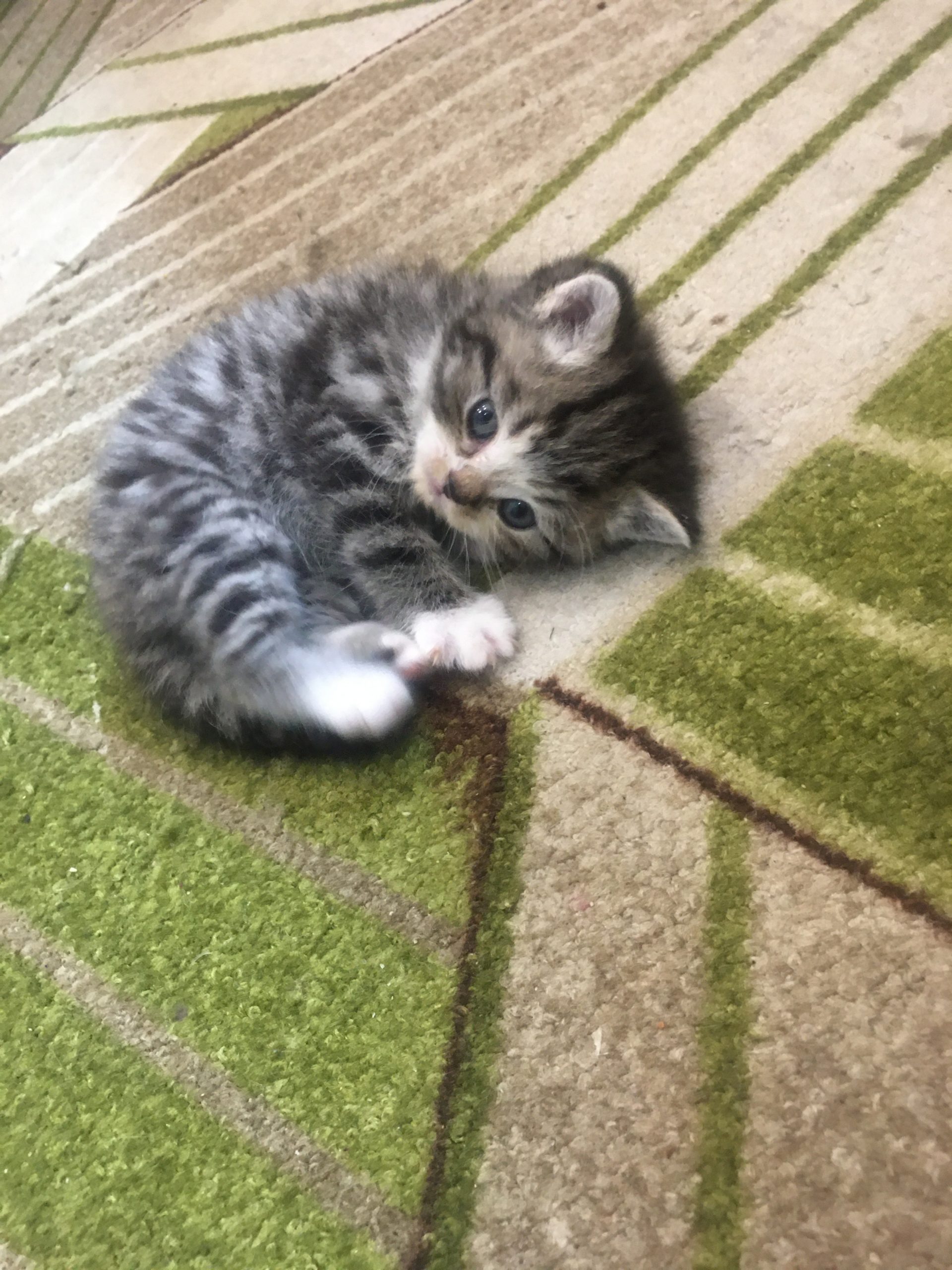 1F99ED71-8F3A-45ED-AEC3-572501F6A39F