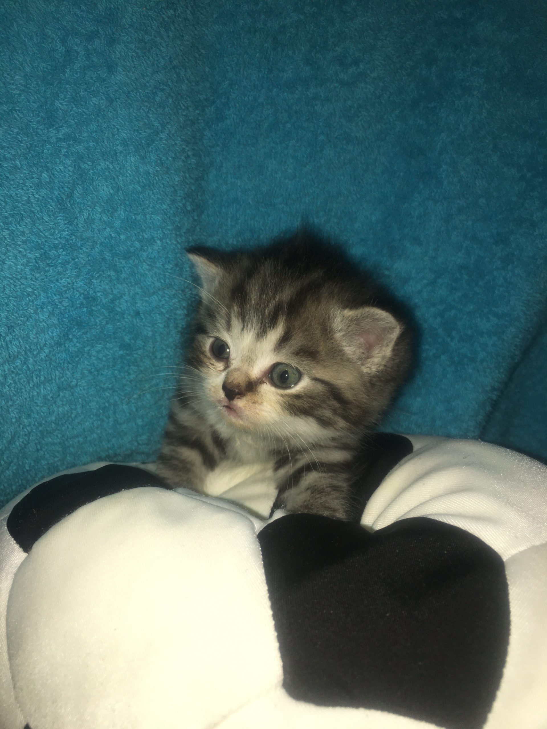 368E8111-80CB-4E09-97AF-0EB8ACF8252D