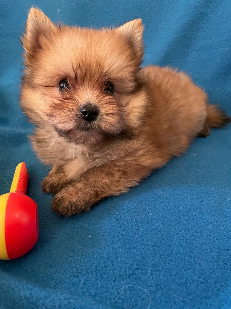 737f12c9-0249-471c-9fa9-0da6655364e7