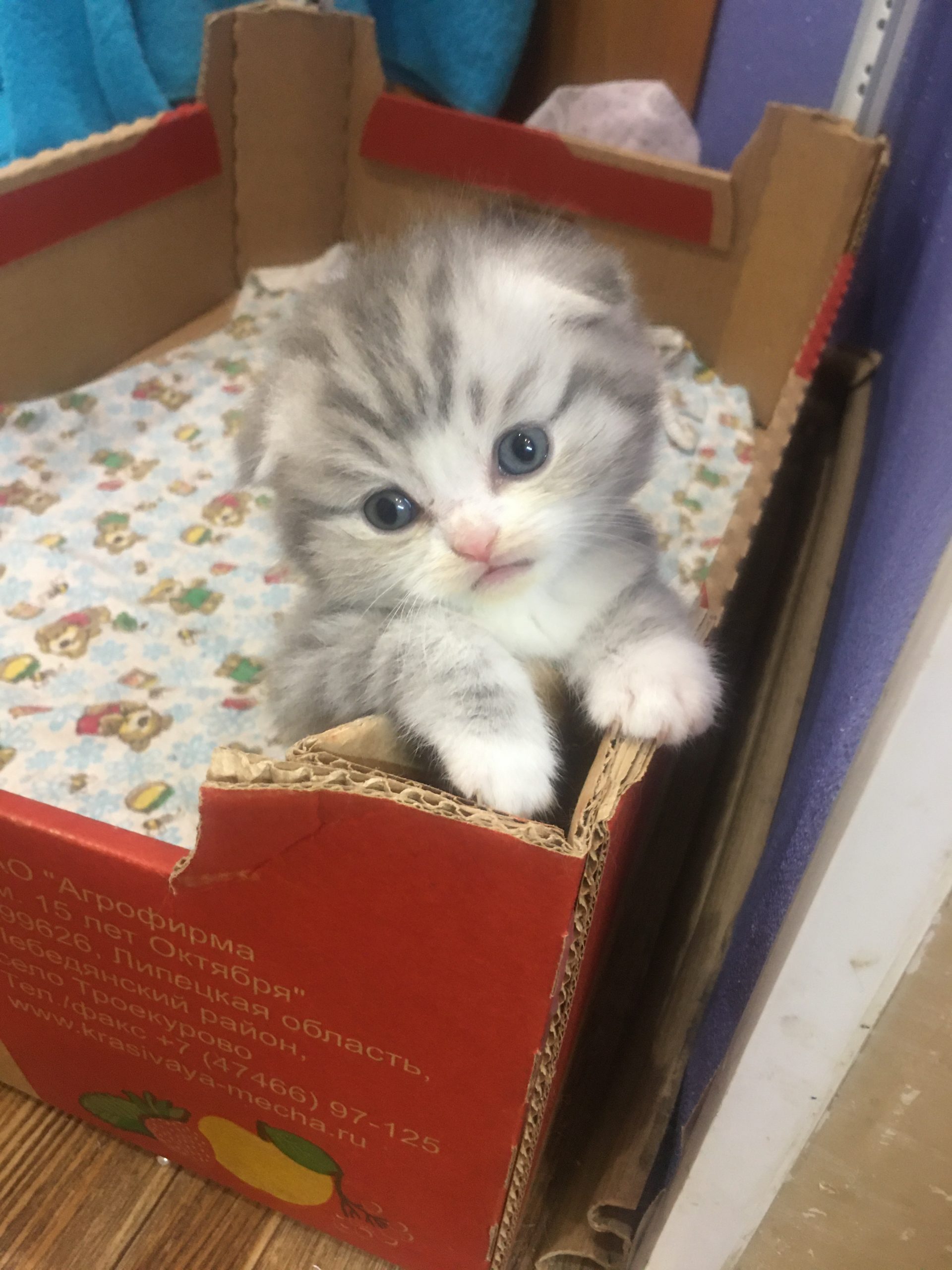 9128B6F8-4A53-4255-9ACB-18CC5DA52A69