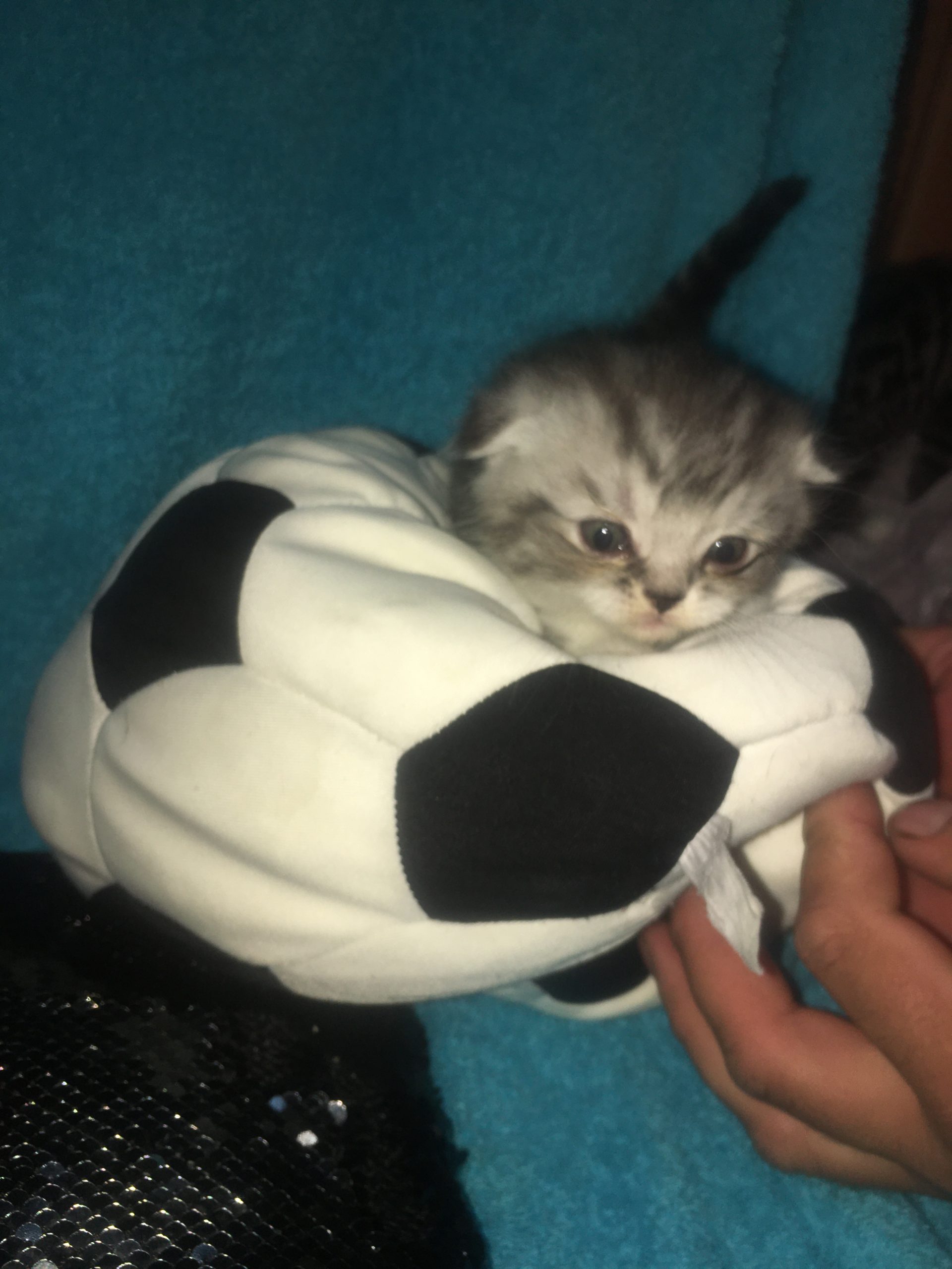 92BC6B04-5609-4E60-A868-D7BDD4E9ABCA