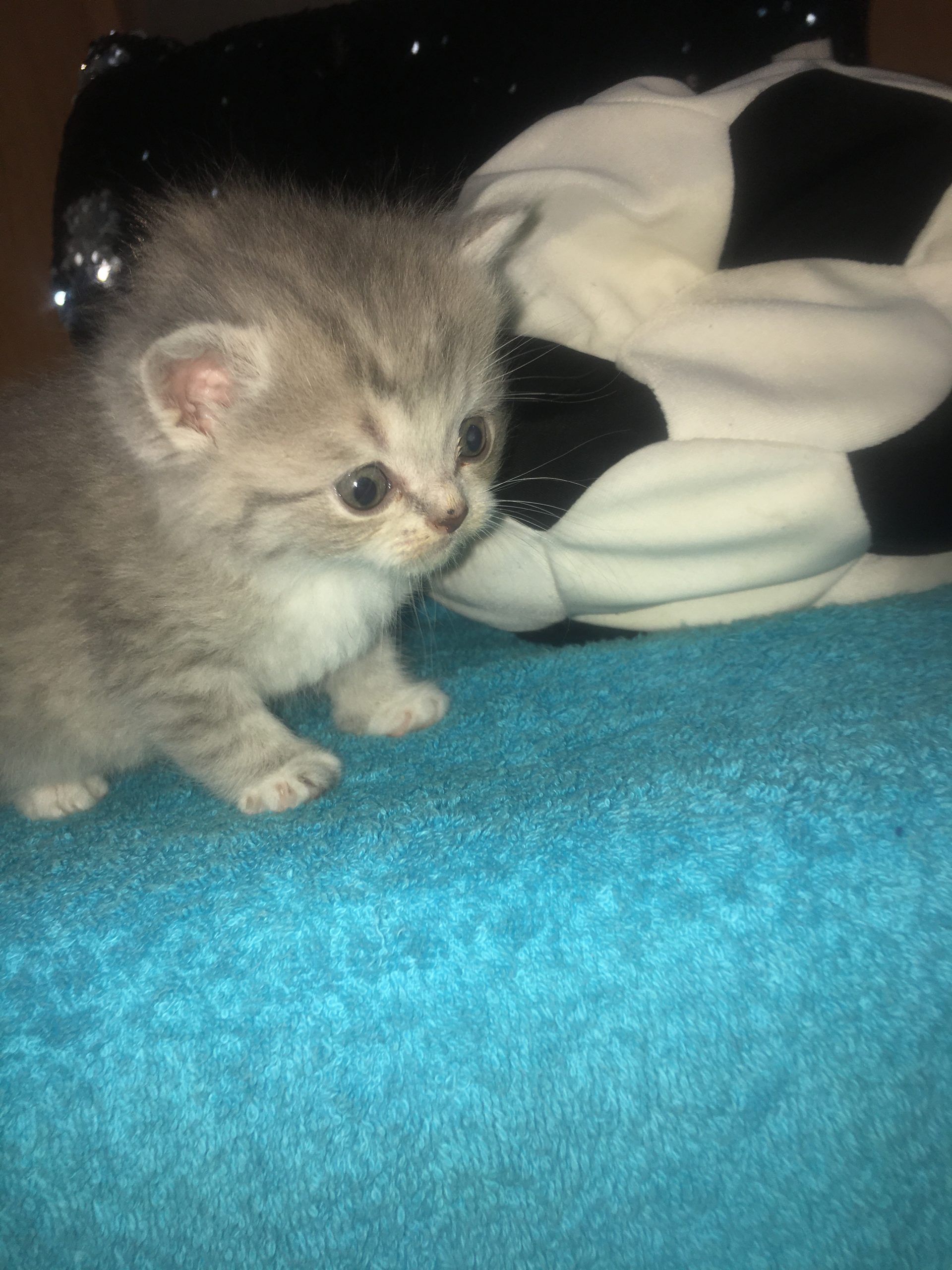 97CA9A5D-CC12-4661-A2FB-E623BE182EDF