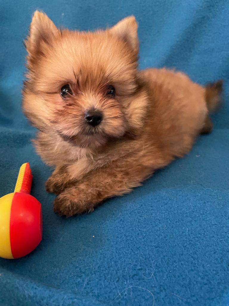 fc9a94a6-738b-444b-a29c-a66cff412ffb