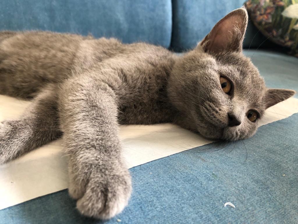 image-14-06-22-01-14-1