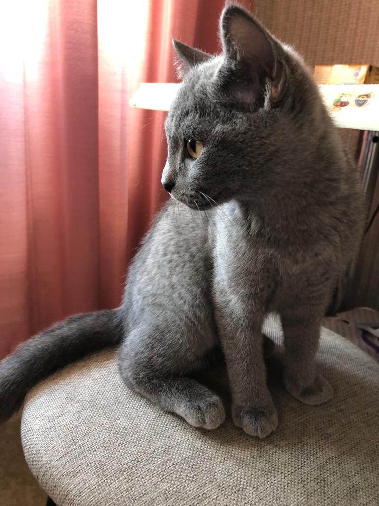 image-14-06-22-01-14