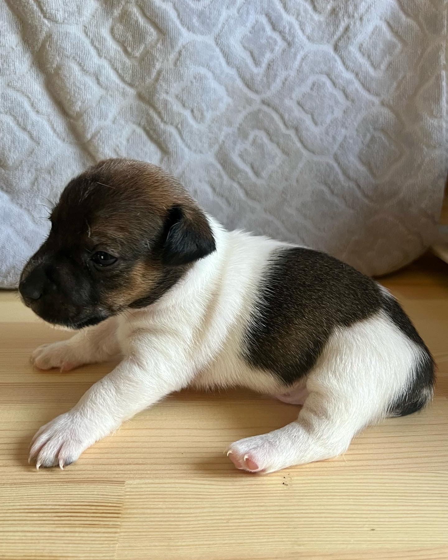 06F321E7-96F4-420F-B832-E16C7341170E