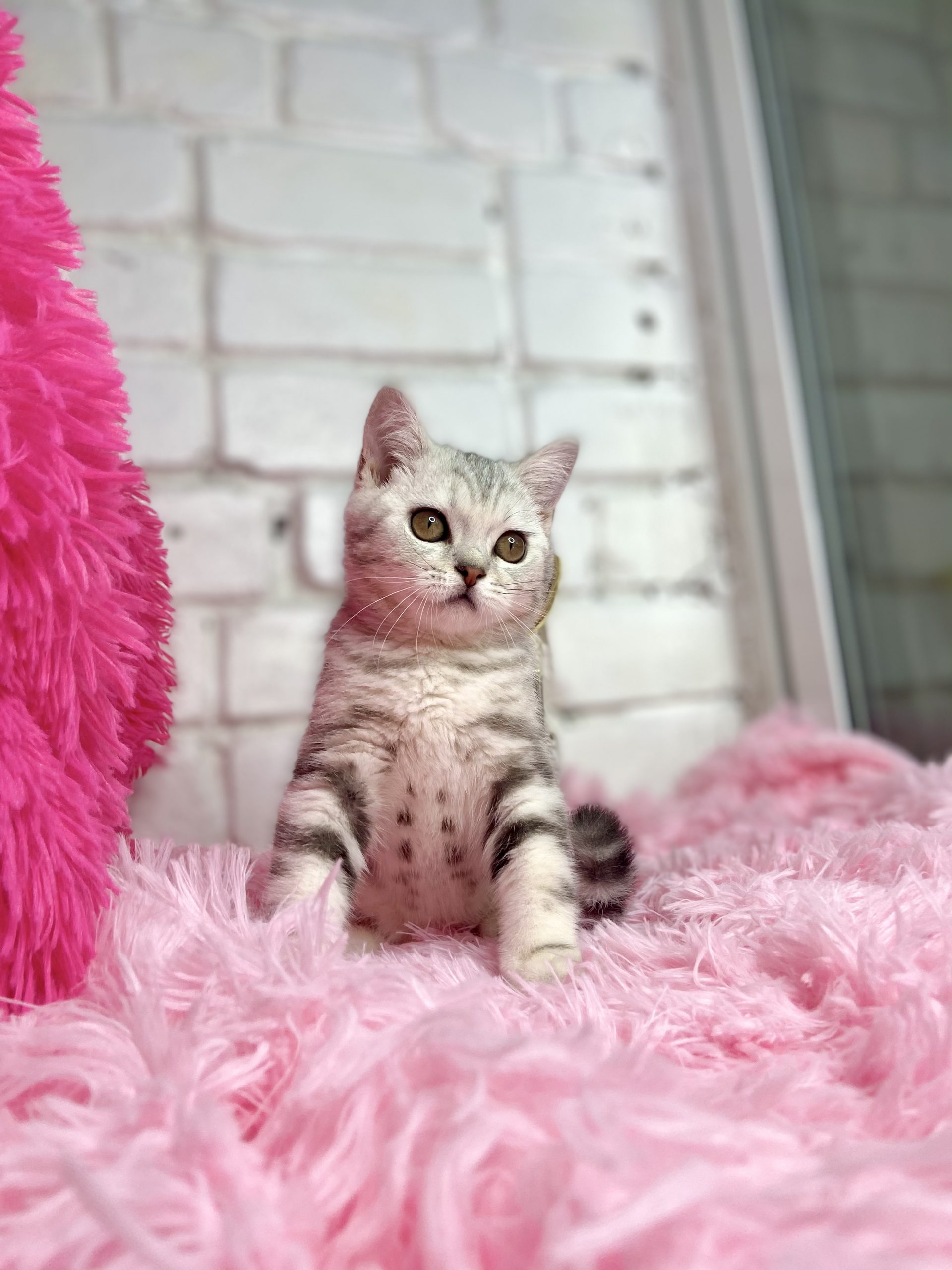 0B701B34-049B-4CEF-A816-94637BD637DC