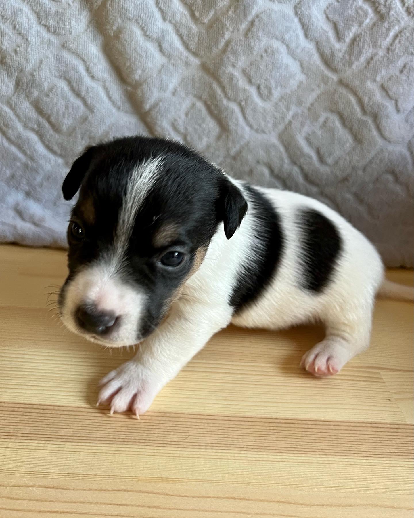 0CEEB388-730C-407C-BACE-361F0B6BAC92