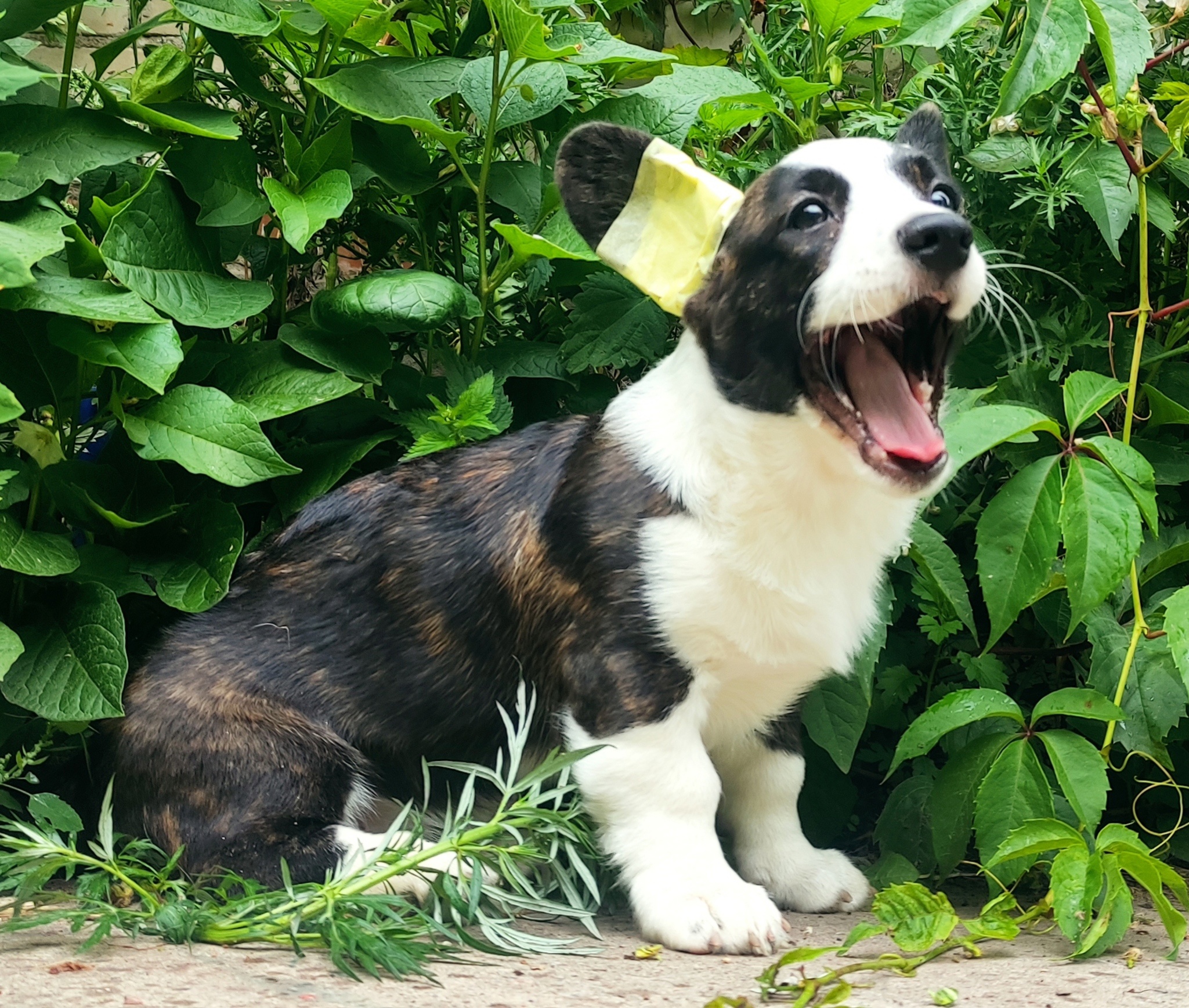 4izCiWfTY1XKq218eIGz8lAXcQZxq0u2WDtnwEfakMPK1Z4rj38GIFXhr-ro9JpC_HisGqRN3654Otd7mBjdWl0n