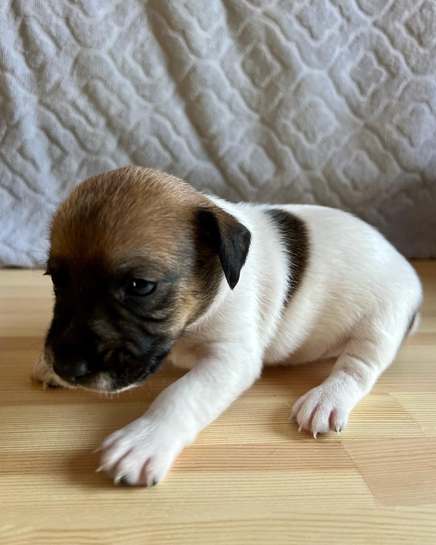 6210A45C-8564-41E7-AA3A-B74F11C7BD13