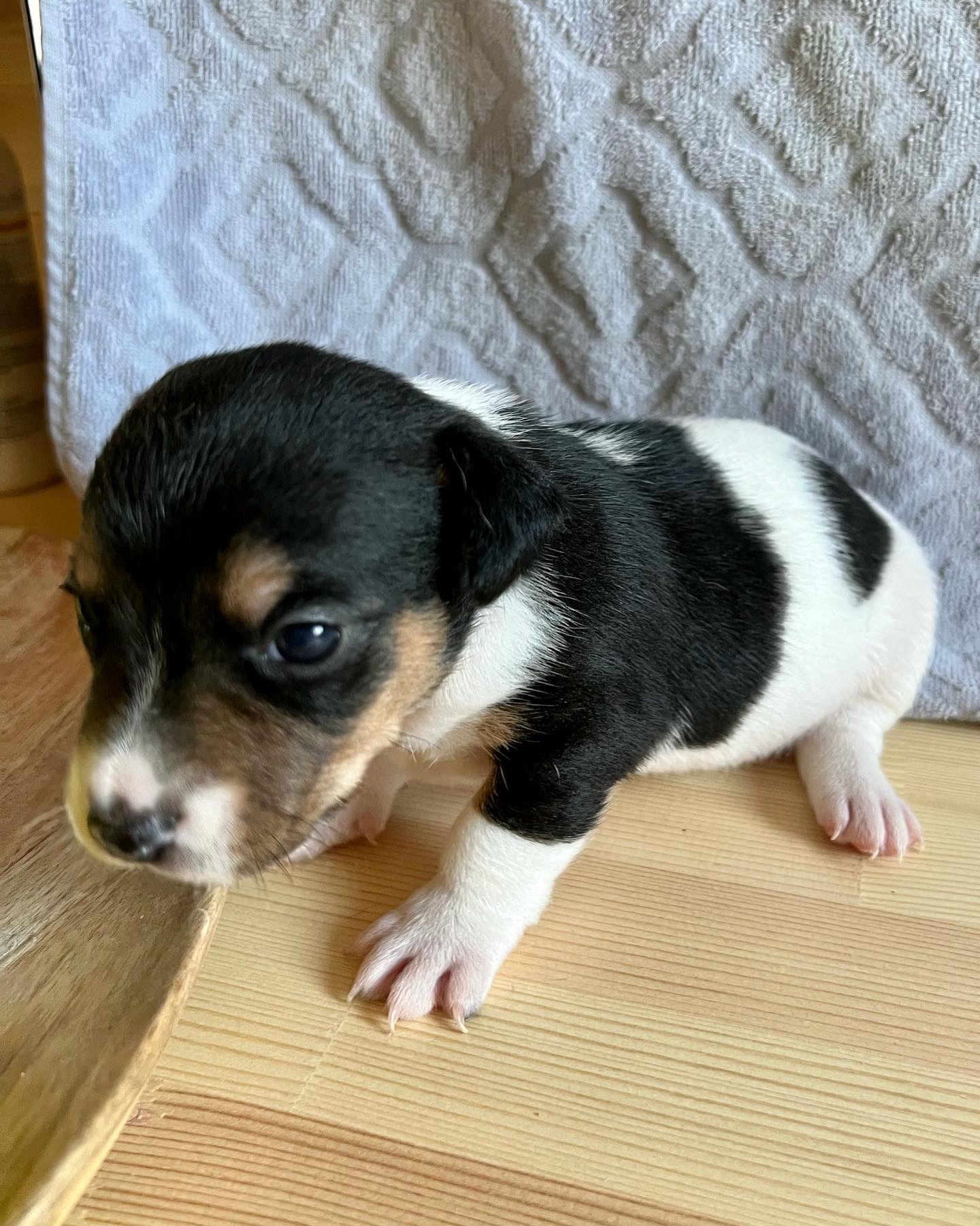 8C6483D3-62E6-4CC9-AD6C-B0A4507EA83F